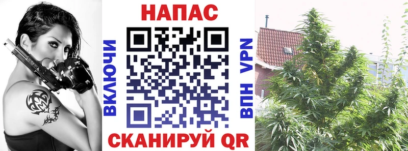 даркнет сайт  Городище  Канабис тримм 